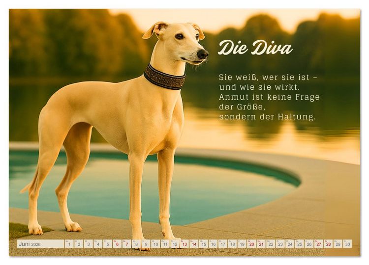 Produktbild: Hunde mit Charakter (Wandkalender 2026 DIN A2 quer), CALVENDO Monatskalender