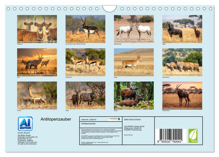 Produktbild: Antilopenzauber (Wandkalender 2027 DIN A4 quer), CALVENDO Monatskalender