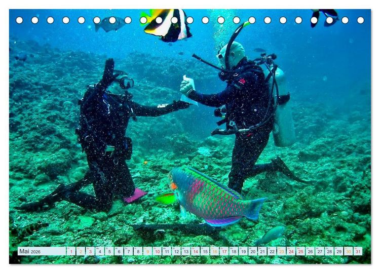 Produktbild: Tauchen - Abenteuer unter Wasser (Tischkalender 2026 DIN A5 quer), CALVENDO Monatskalender
