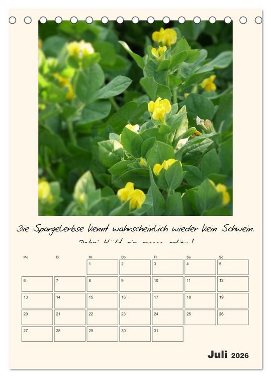 Produktbild: Gartengeschichten (Tischkalender 2026 DIN A5 hoch), CALVENDO Monatskalender