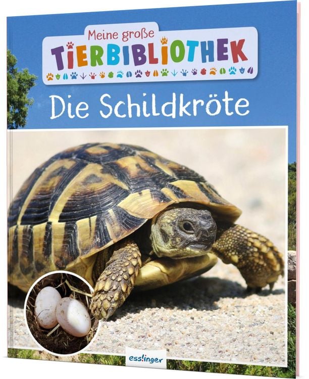 Produktbild: Meine gro&szlig;e Tierbibliothek: Die Schildkr&ouml;te