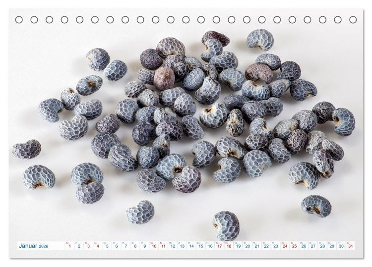 Produktbild: Wundersch&ouml;ne Kleinigkeiten (Tischkalender 2026 DIN A5 quer), CALVENDO Monatskalender