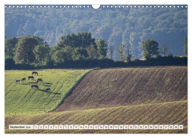 Produktbild: Sch&ouml;ner Kraichgau (Wandkalender 2026 DIN A3 quer), CALVENDO Monatskalender