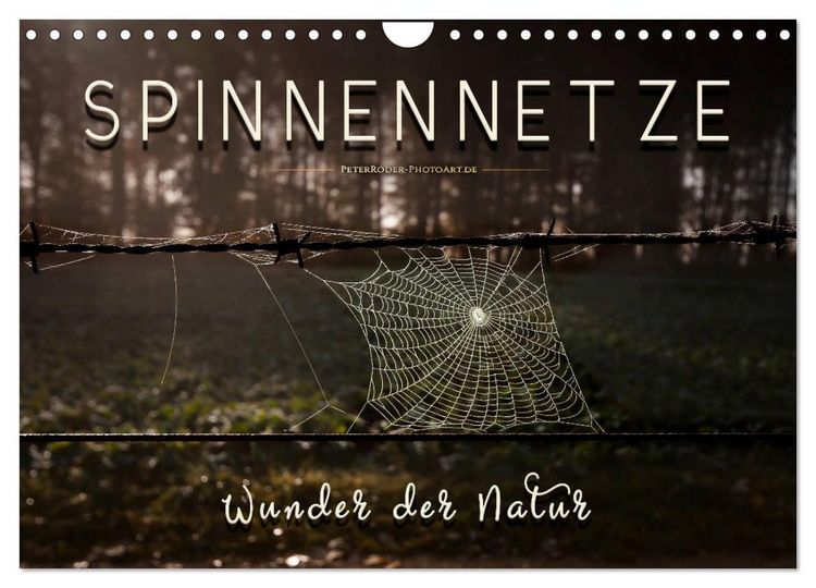 Produktbild: Spinnennetze - Wunder der Natur (Wandkalender 2026 DIN A4 quer), CALVENDO Monatskalender