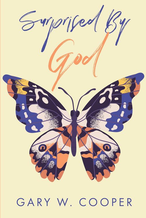 Produktbild: Surprised by God