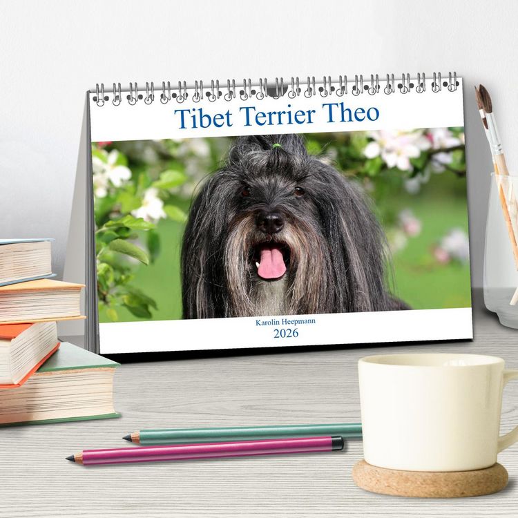 Produktbild: Tibet Terrier Theo (Tischkalender 2026 DIN A5 quer), CALVENDO Monatskalender