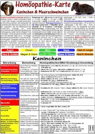 Produktbild: Hom&ouml;opathie f&uuml;r Kaninchen & Meerschweinchen, Tierheilkunde-Karte