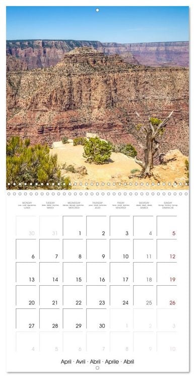 Produktbild: GRAND CANYON Magnificent views (Wall Calendar 2026 12 &times; 12 Inch) CALVENDO 12 Month Wall Calendar