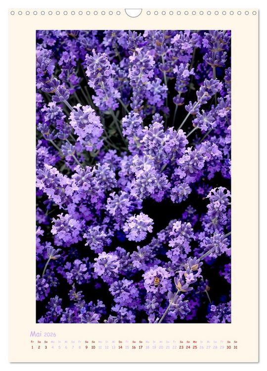 Produktbild: Lavendel (Wandkalender 2026 DIN A3 hoch), CALVENDO Monatskalender