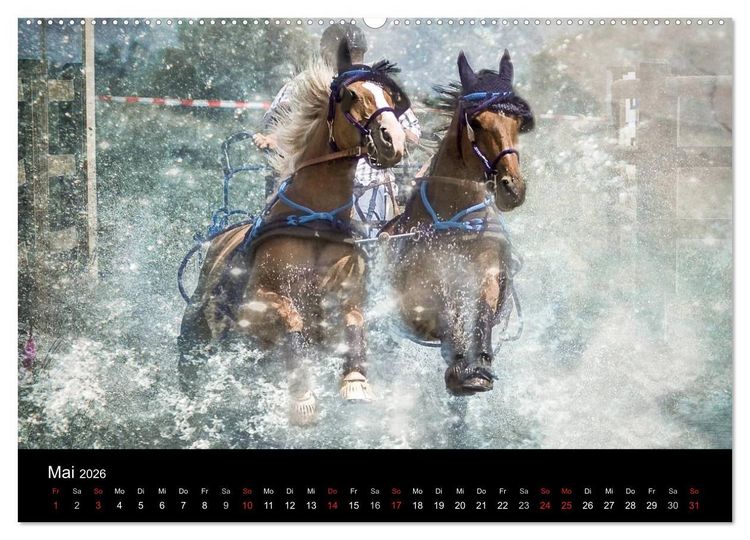 Produktbild: Pferde zum Tr&auml;umen (Wandkalender 2026 DIN A2 quer), CALVENDO Monatskalender