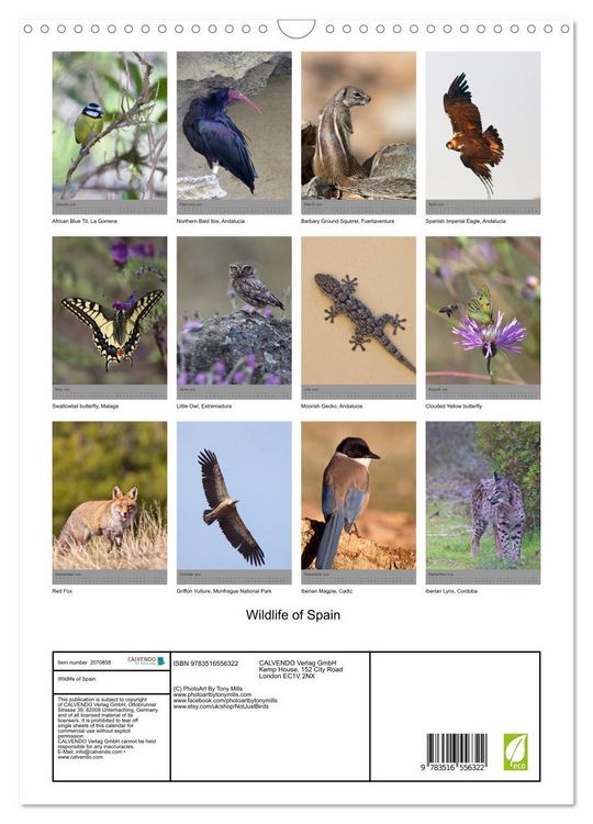 Produktbild: Wildlife of Spain (Wall Calendar 2026 DIN A3 portrait), CALVENDO 12 Month Wall Calendar