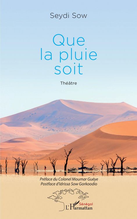 Produktbild: Que la pluie soit