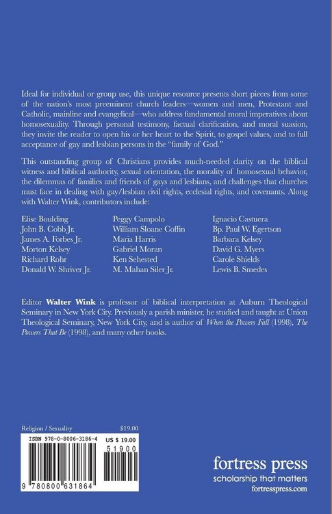 Produktbild: Homosexuality and Christian Faith