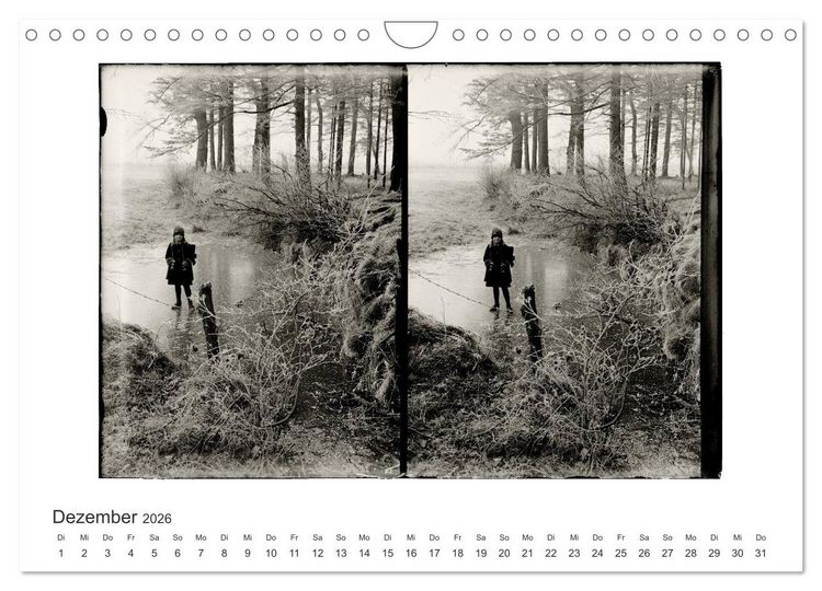 Produktbild: Faszination Glasplatten-Photographie (Wandkalender 2026 DIN A4 quer), CALVENDO Monatskalender
