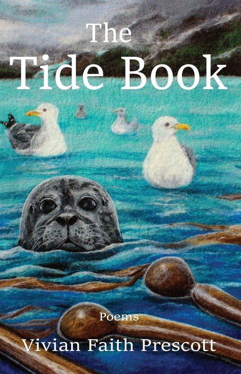 Produktbild: The Tide Book