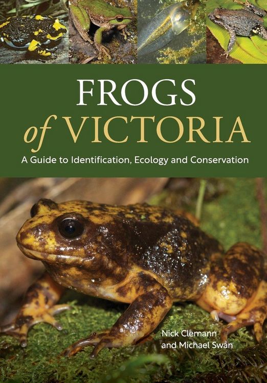 Produktbild: Frogs of Victoria