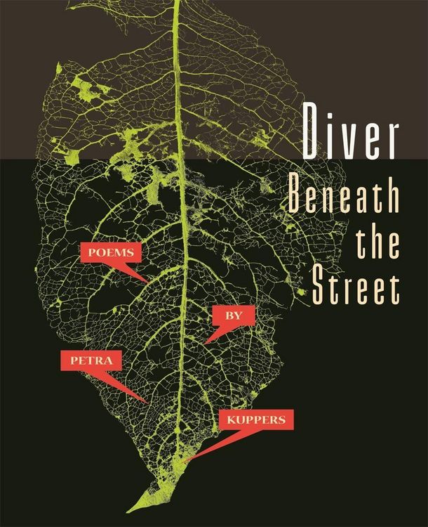 Produktbild: Diver Beneath the Street