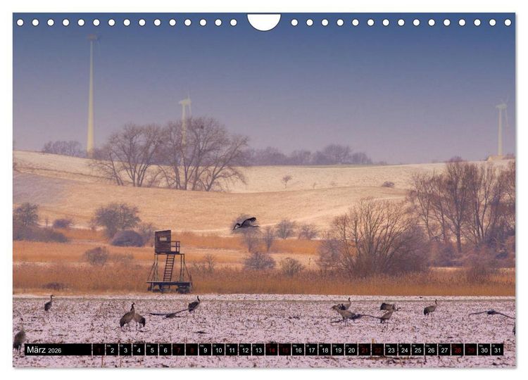 Produktbild: Oderlandschaft (Wandkalender 2026 DIN A4 quer), CALVENDO Monatskalender