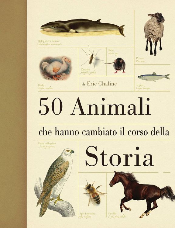 Produktbild: 50 animali che hanno cambiato la storia