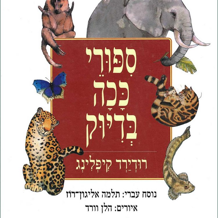 Produktbild: סיפורי ככה בדיוק