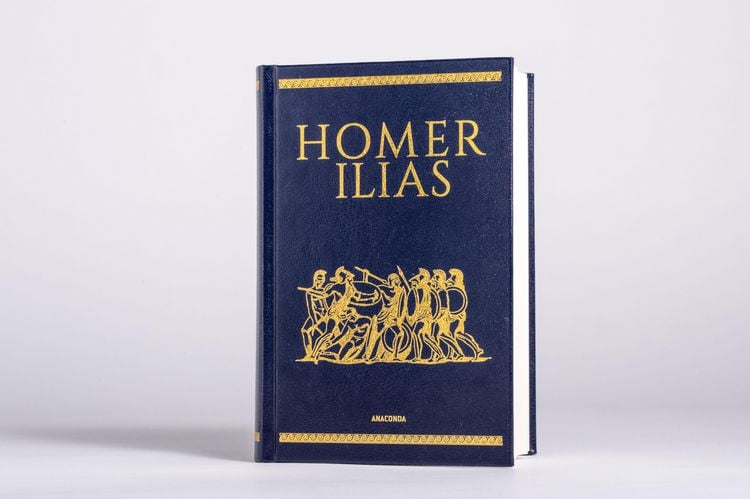 Produktbild: Homer, Ilias