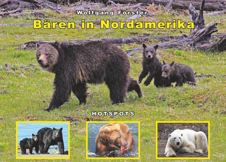 Produktbild: B&auml;ren in Nordamerika