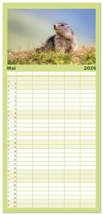 Produktbild: Familienplaner 2026 - Tiere der Alpen - Murmeltier-Kinder mit 5 Spalten (Wandkalender, 21 x 45 cm) CALVENDO