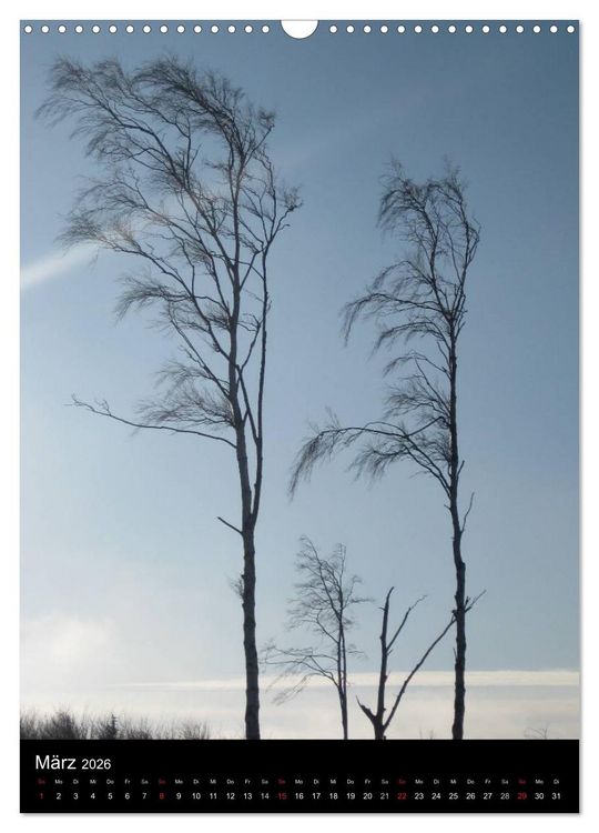 Produktbild: Ostseeblicke (Wandkalender 2026 DIN A3 hoch), CALVENDO Monatskalender