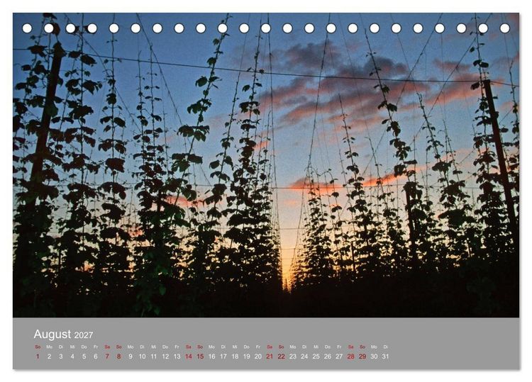 Produktbild: Hallertau (Tischkalender 2027 DIN A5 quer), CALVENDO Monatskalender