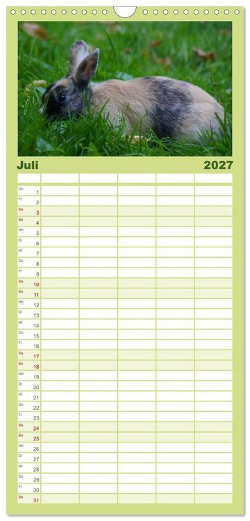 Produktbild: Familienplaner 2027 - Liebenswerte Zwergkaninchen mit 5 Spalten (Wandkalender, 21 x 45 cm) CALVENDO