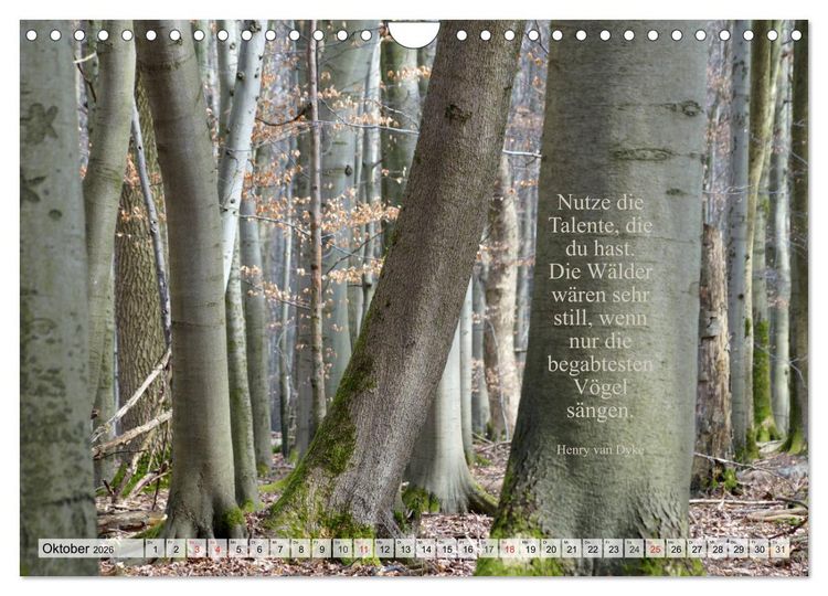 Produktbild: Weises (Wandkalender 2026 DIN A4 quer), CALVENDO Monatskalender