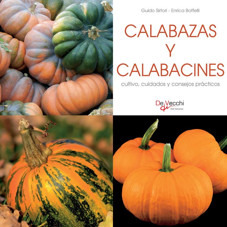 Produktbild: Calabazas y calabacines - cultivo, cuidados y condejos pr&aacute;cticos