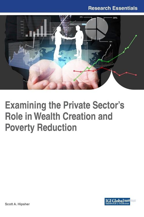 Produktbild: Examining the Private Sector's Role in Wealth Creation and Poverty Reduction