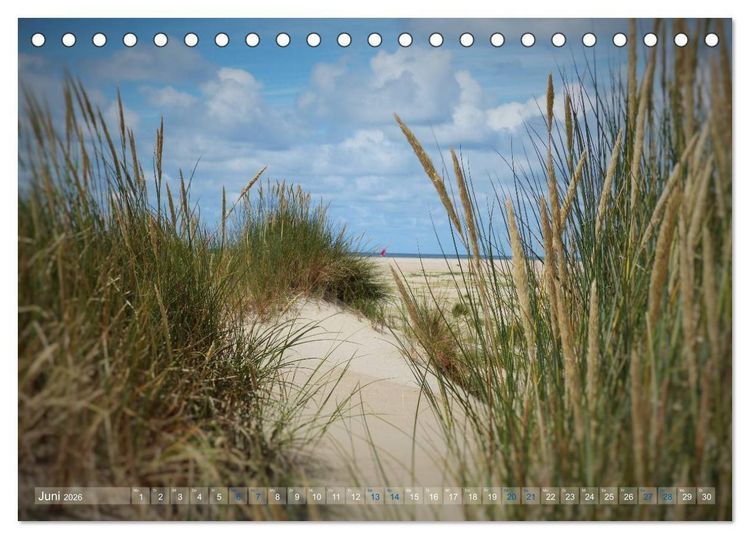 Produktbild: Texel. Neue D&uuml;nen (Tischkalender 2026 DIN A5 quer), CALVENDO Monatskalender