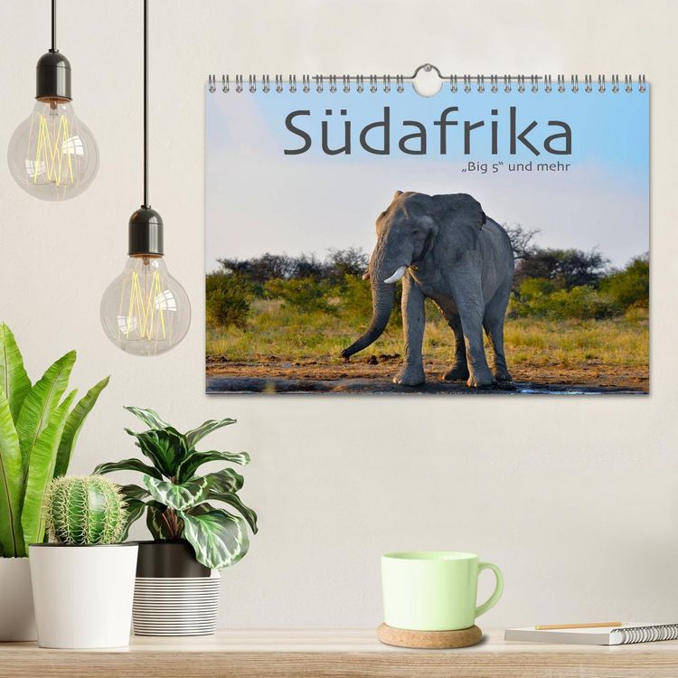 Produktbild: S&uuml;dafrika - Big 5 und mehr (Wandkalender 2026 DIN A4 quer), CALVENDO Monatskalender