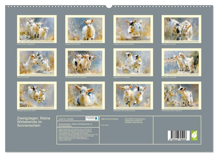 Produktbild: Zwergziegen. Kleine Wirbelwinde im Sonnenschein (hochwertiger Premium Wandkalender 2027 DIN A2 quer), Kunstdruck in Hochglanz