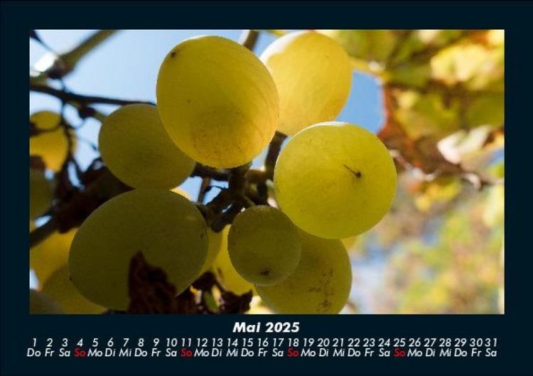 Produktbild: Obstkalender 2025 Fotokalender DIN A5