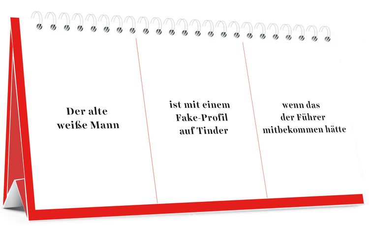 Produktbild: Der Desinformator