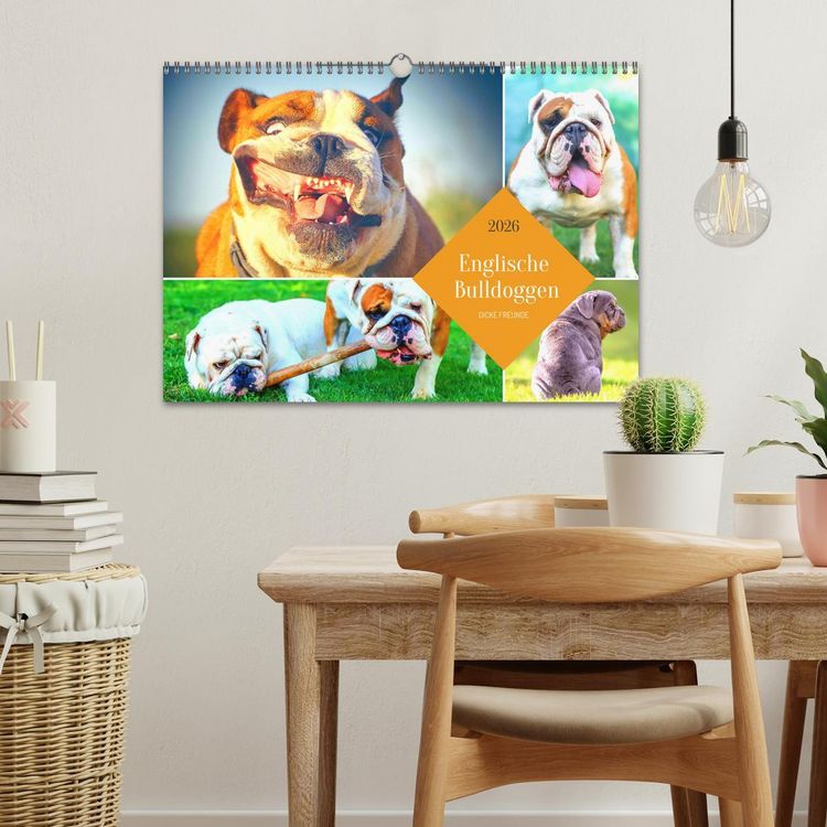 Produktbild: Dicke Freunde. Englische Bulldoggen (Wandkalender 2026 DIN A3 quer), CALVENDO Monatskalender