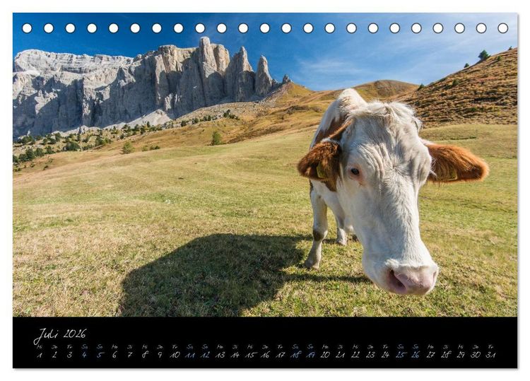 Produktbild: Dolomiten (Tischkalender 2026 DIN A5 quer), CALVENDO Monatskalender
