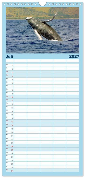 Produktbild: Familienplaner 2027 - Delfine und Wale mit 5 Spalten (Wandkalender, 21 x 45 cm) CALVENDO