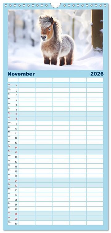 Produktbild: Familienplaner 2026 - Kleine Pferde. Mini-Ponys zum verlieben mit 5 Spalten (Wandkalender, 21 x 45 cm) CALVENDO