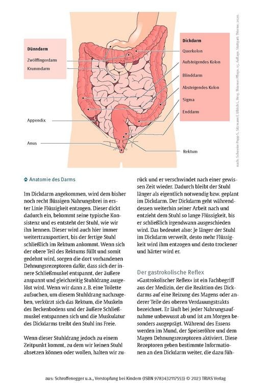 Produktbild: Verstopfung bei Kindern