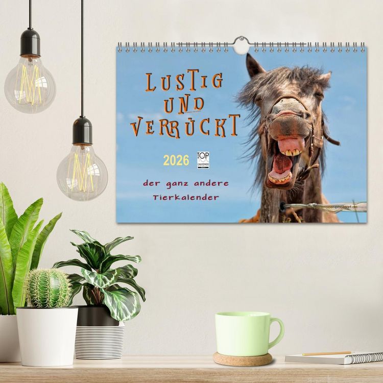 Produktbild: Lustig und verr&uuml;ckt - der ganz andere Tierkalender (Wandkalender 2026 DIN A4 quer), CALVENDO Monatskalender