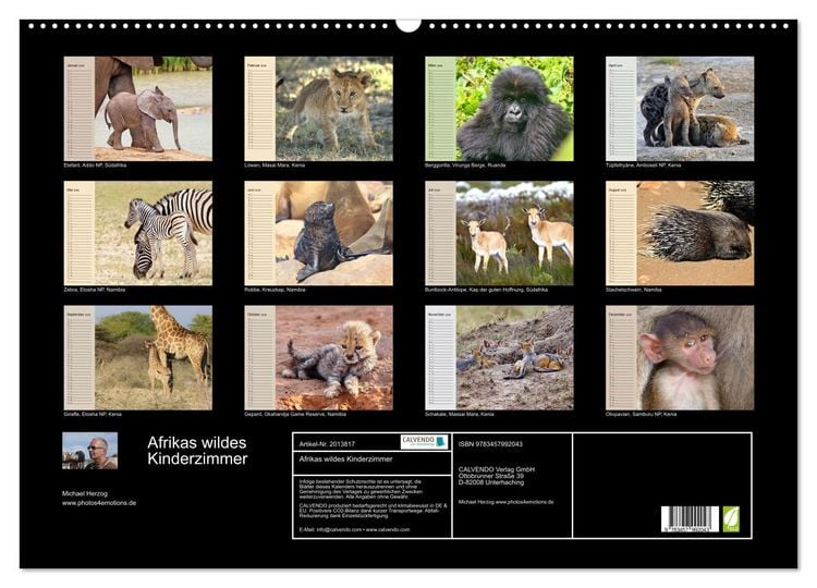 Produktbild: Afrikas wildes Kinderzimmer (Wandkalender 2026 DIN A2 quer), CALVENDO Monatskalender