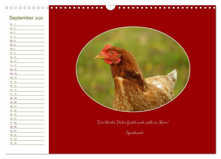 Produktbild: Freilaufende H&uuml;hner (Wandkalender 2026 DIN A3 quer), CALVENDO Monatskalender