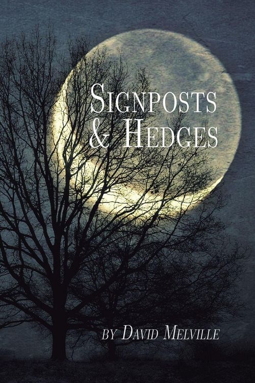Produktbild: Signposts & Hedges