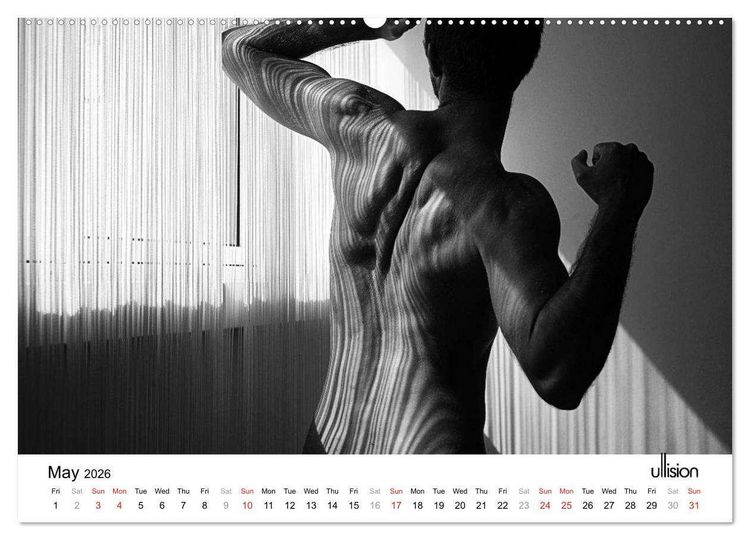 Produktbild: Male Nude Art (High Quality Premium Wall Calendar 2026 DIN A2 landscape),CALVENDO 12 Month Wall Calendar