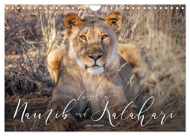 Produktbild: Zwischen Namib und Kalahari (Wandkalender 2026 DIN A4 quer), CALVENDO Monatskalender