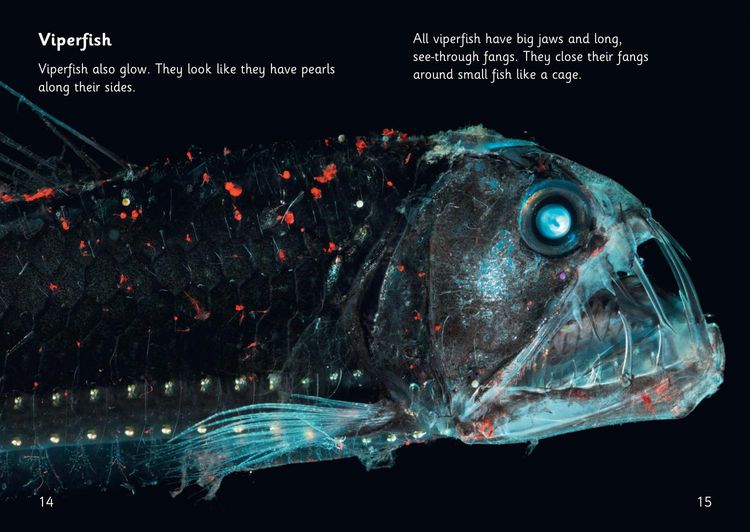 Produktbild: The Deep